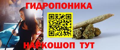 шишки Донецк